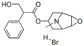 Scopolamine hydrobromide/114-49-8/涓ㄨ纰辨阿婧撮哥
