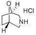 (1R,5S)-8-oxa-3-aza-bicyclo[3.2.1]octane/54745-74-3/