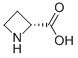 D-Azetidine-2-carboxylic acid/7729-30-8/