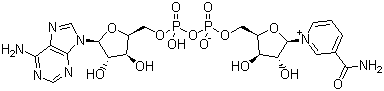 Coenzyme I/53-84-9/杈I