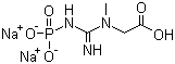 Phosphocreatine Sodium Salt/922-32-7/纾烽歌搁