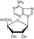 Adenosine/58-61-7/