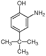 2-Amino-4-tert-butylphenol/1199-46-8/2-姘ㄥ-4-涓洪