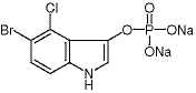 5-Bromo-4-chloro-3-indolyl Phosphate Disodium Salt/102185-33-1/5-婧-4-姘-3-插虹７搁