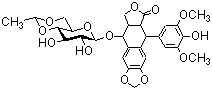 Etoposide/33419-42-0/