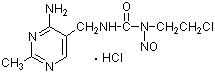 Nimustine Hydrochloride/55661-38-6/稿凹姹